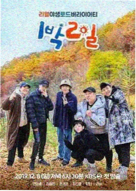 国产免费观看高清电视剧日剧在线 恋爱白皮书